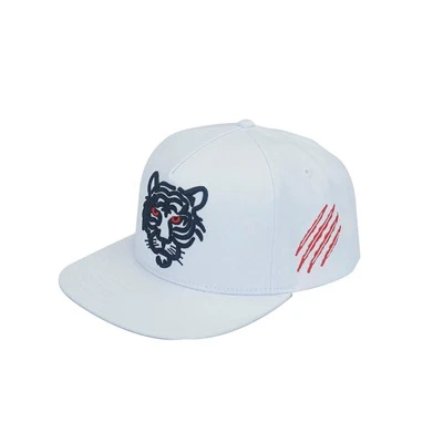 Razlika med baseball kapo in vrhunsko kapico